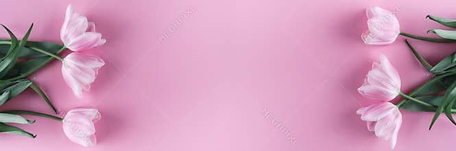Pink tulips flowers on pink background. Card for Mothers day, 8 March, Happy Easter. Waiting for spring. Greeting card
