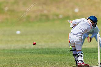 Cricket Fielder Batsman Action