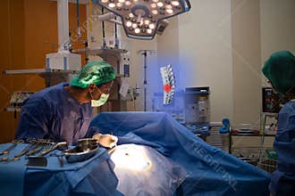 Smart medical technology concept, doctor use augmented reality t