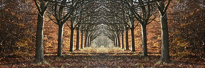 Danish landscape