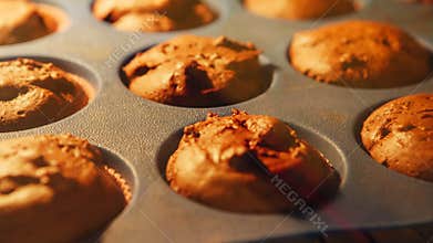 Cupcake. Baking in oven. Time lapse footage of cooking muffins. 4k, UHD