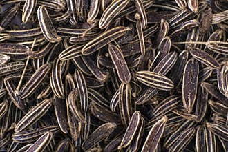 Caraway seeds