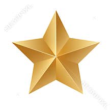 Gold star. Vector sign on white background.