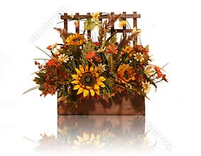 Thanksgiving Flowers