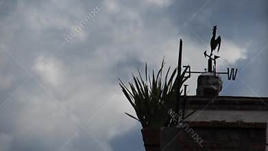 Weather Vane in Windy Conditions