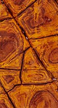 Shapes and patterns in a natural rock
