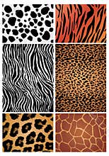 Animal skin