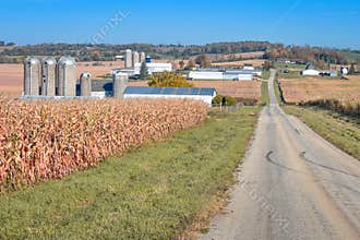 Country Road Going Through Farm Fields