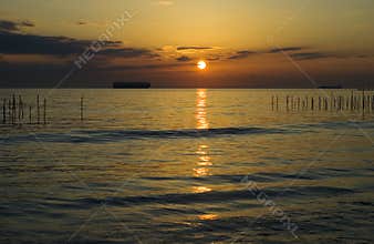 Pacific Sunset