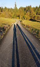 Shadows of a couple on a country road