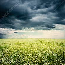 Bad weather