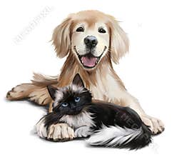 A dog and a cat
