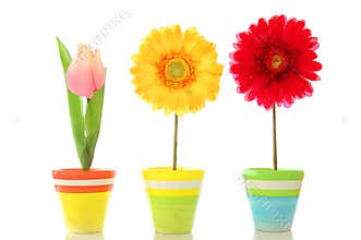 Happy flowers