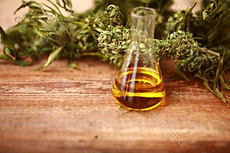CBD oil bottle and hemp products cannabis