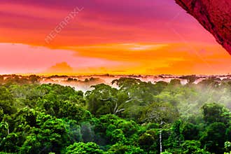Purple sunset over the brazilian rainforest in the Amazon region