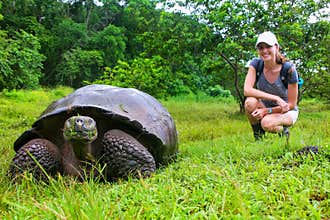 Galapagos giant tortoise with young woman blurred in background