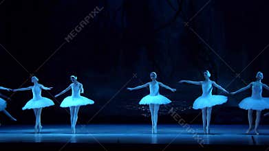 SWAN LAKE ballet