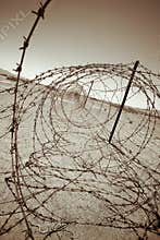 Barbed wires