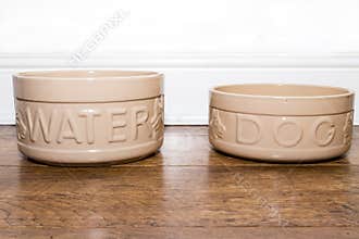Dog food and water bowls