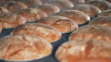 Bread bakery. Ready made bread comes out from oven. Food processing factory.
