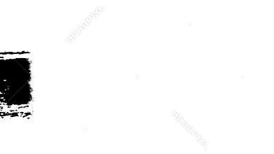 Lines - Abstract black ink hand-painted brush strokes