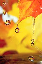Golden drops