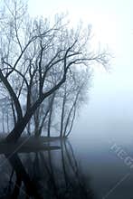 Missippi Fog