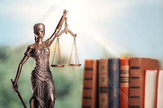 Lawyer