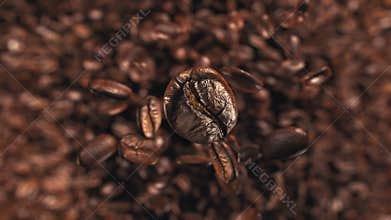Coffee beans jumping in super slow motion 4K