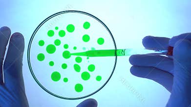 Researcher extracts algae sample from petri dish in laboratory