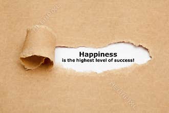 Happiness Is The Highest Level Of Success