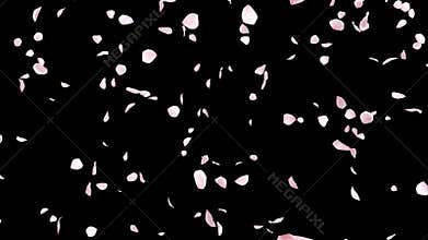 Cherry blossom falling with alpha, looped