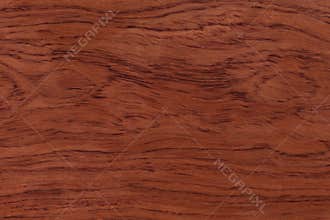 Red natural wood texture. Extremely high resolution photo.