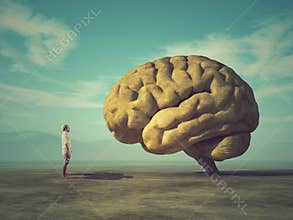 Conceptual image of a large stone in the shape of the human brain