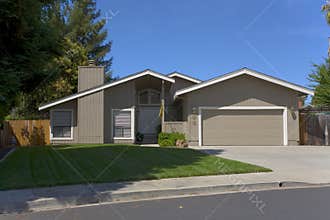 Contemporary Single Story Home