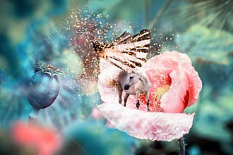 White fairy unicorn with butterfly wings on blooming pink poppy flower. Realistic fairytale magic manipulation. Vintage toned