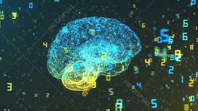 Digital Computer Brain and floating numbers - Big Data and statistics