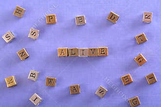Alive word metal block