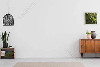 Lamp and poster in white empty living room interior with plants and wooden cabinet. Real photo. Place for your furniture