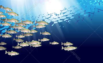 School of pink salmon fish. Marine life. Vector illustration optimized from to be used in background design, decoration