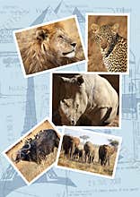 The Big Five travel template