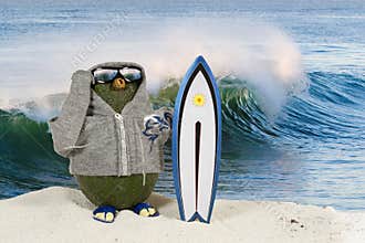Avocado Surfer