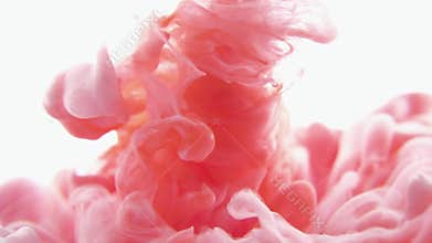 Red and White color paint ink drops in water slow motion video white background with copy space. Inky cloud swirling