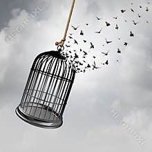 Freedom Idea Concept