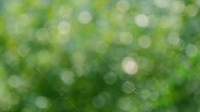 Cirrocumulus Morning sky Small and large clouds are dense with the sun below
