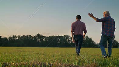 Back view of adult son and old father walking on straw or rye field, harvest agriculture farm, two men going away