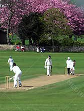 English cricket
