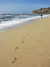 Person walking on beach