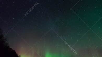 Northern Lights, polar light or Aurora Borealis in the night sky over the Lofoten islands
