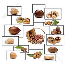 Nuts with frames.